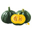 Kabocha Winter Squash