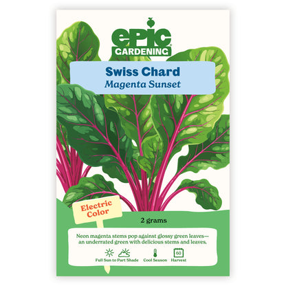 Magenta Sunset Swiss Chard