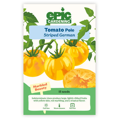 Striped German Pole Tomato