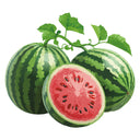 Cal Sweet Watermelon