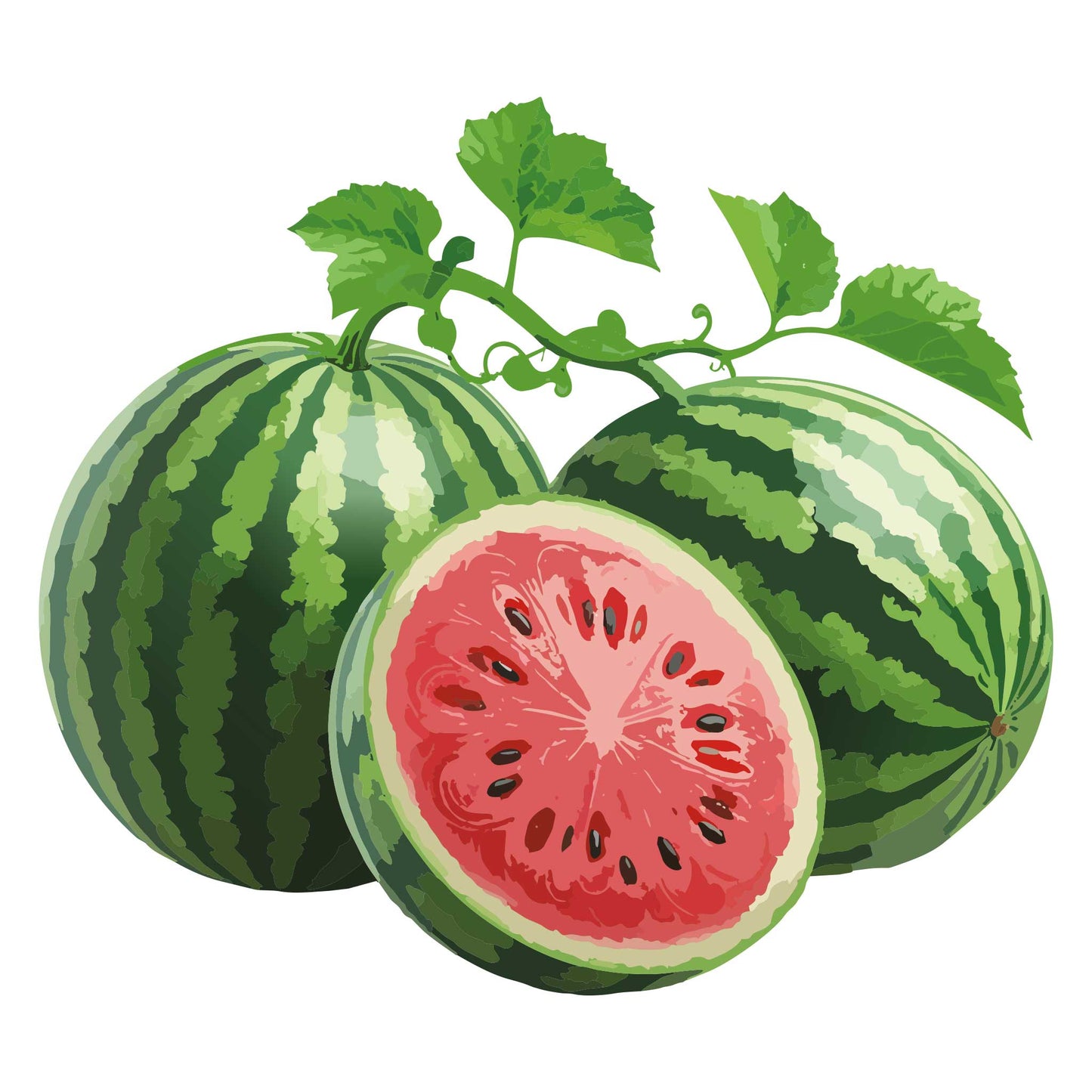 Cal Sweet Watermelon