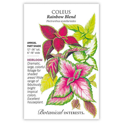 Rainbow Blend Coleus Seeds Product Image