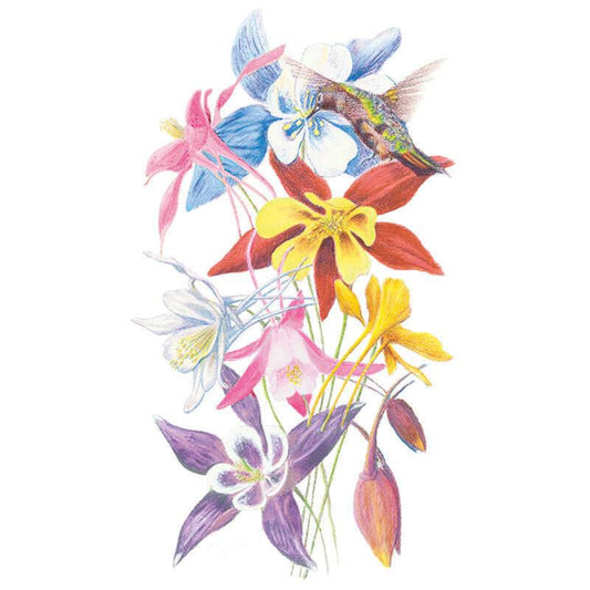 McKana Giants Blend Columbine Seeds