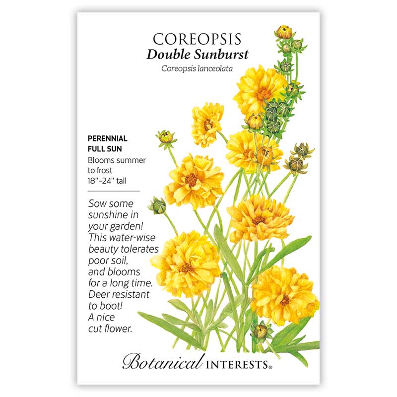 Dream In Color Seed Bundle