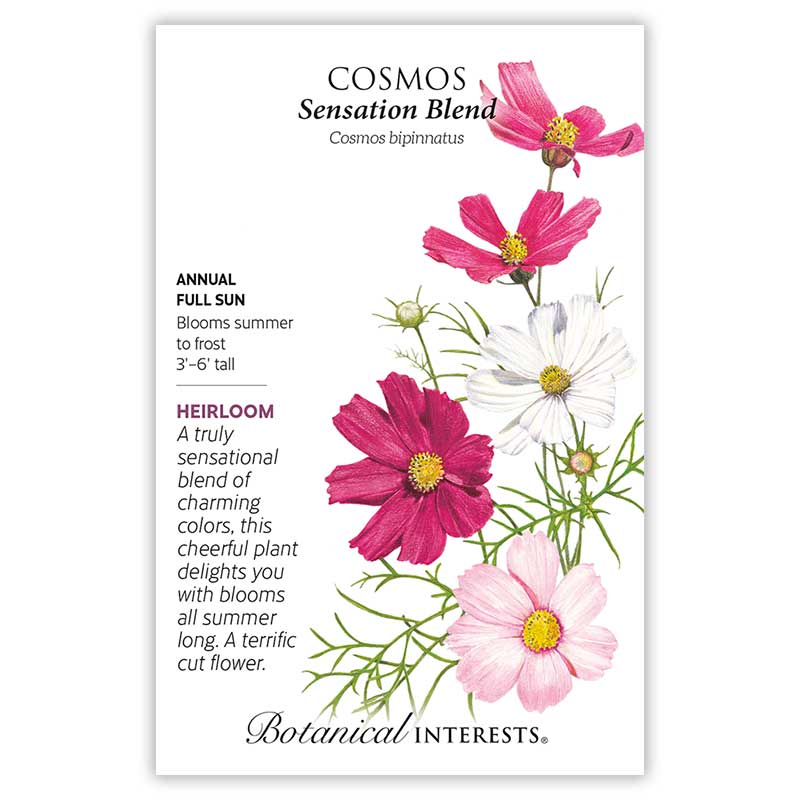 Sensation Blend Cosmos Seeds
