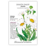 Alaska Shasta Daisy Seeds