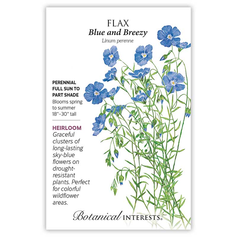 flax seed flower Blue and Breezy Flax Seeds