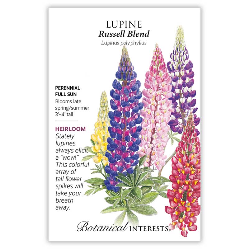 Botanical Interests Russell Blend Lupine Seeds