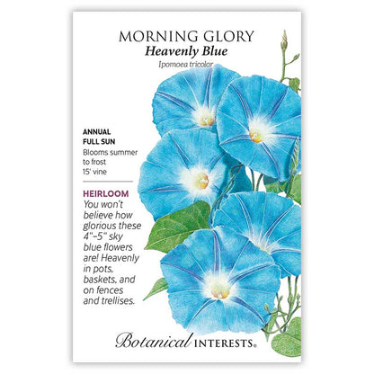 Heavenly Blue Morning Glory Seeds Product Image