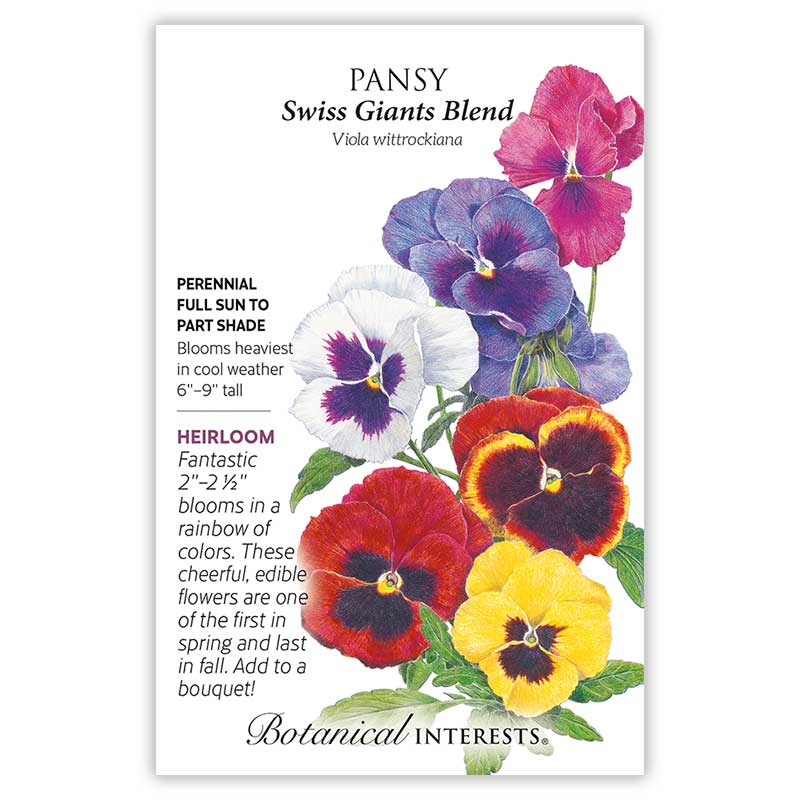 Swiss Giants Blend Pansy Seeds