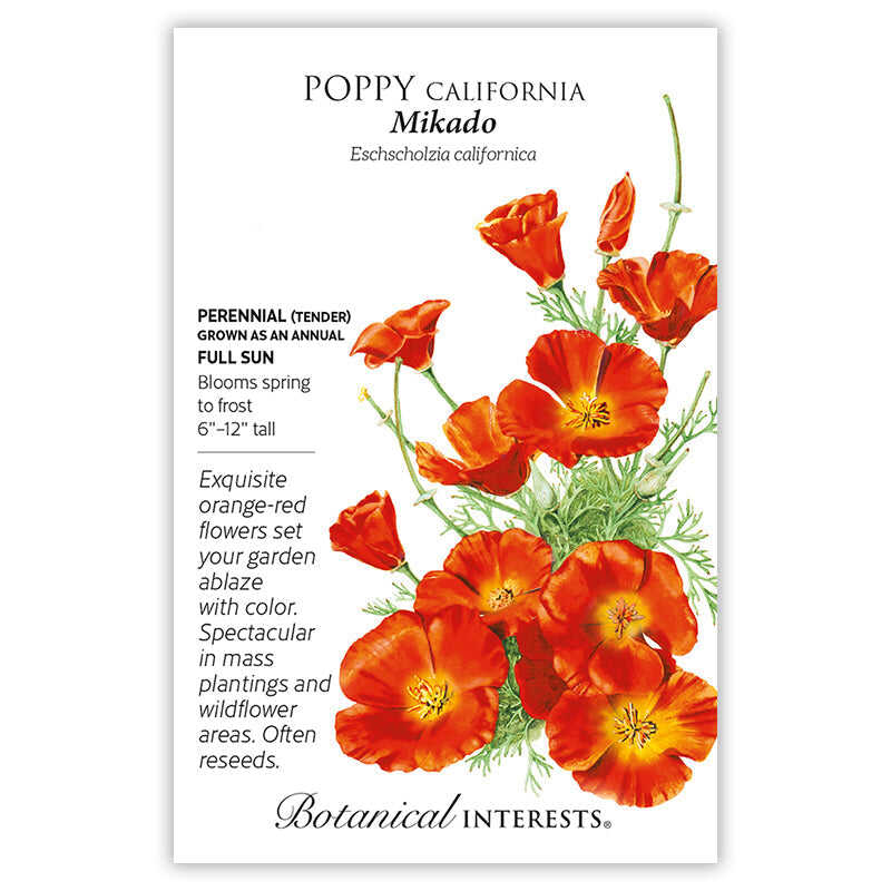 orange poppy flower seeds Mikado California Poppy Seeds