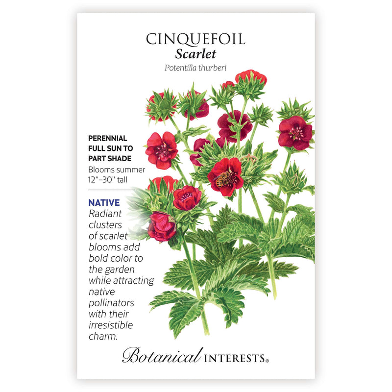 Scarlet Cinquefoil Seeds