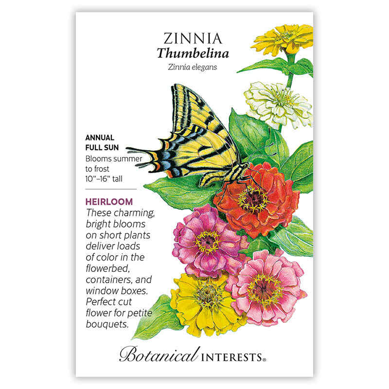 Thumbelina Zinnia Seeds