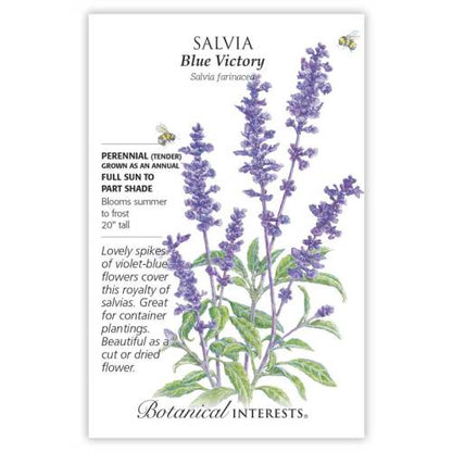 Blue Victory Salvia Seeds