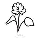 Eastern Red Columbine Seeds