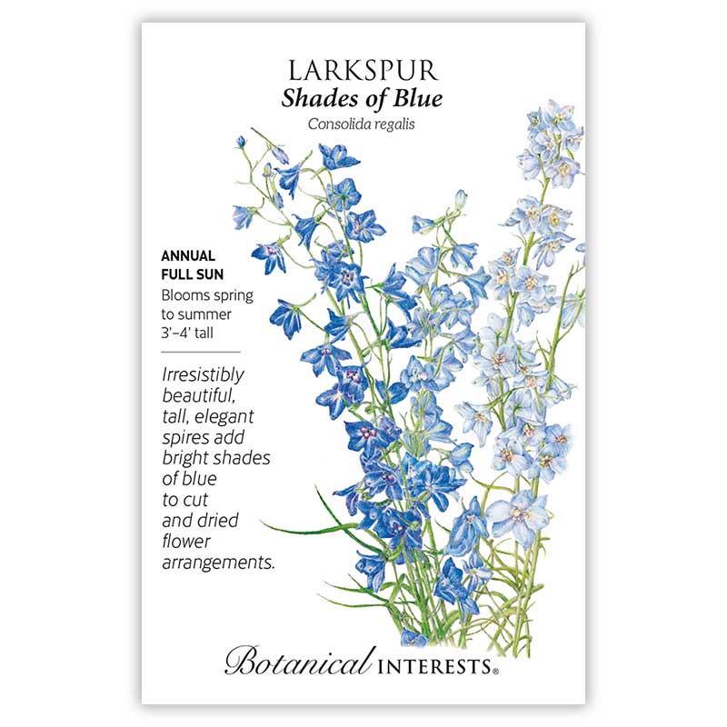 Shades of Blue Larkspur Seeds
