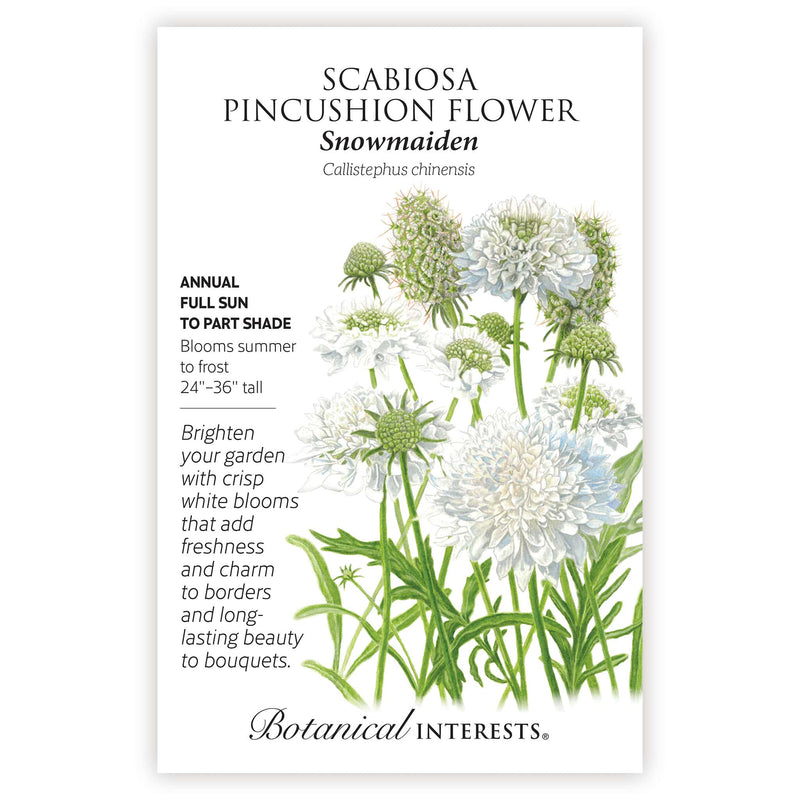 pincushion plant seeds Snowmaiden Scabiosa Seeds – Epic Gardening