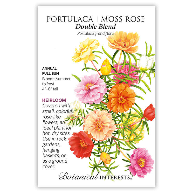 portulaca flower seeds Double Blend Portulaca (Moss Rose) Seeds