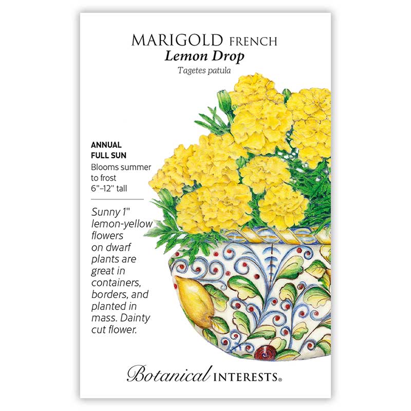 Lemon Drop French Marigold Seeds