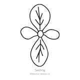 Bronze Queen Nicotiana Seeds