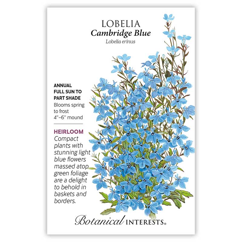 Cambridge Blue Lobelia Seeds Product Image