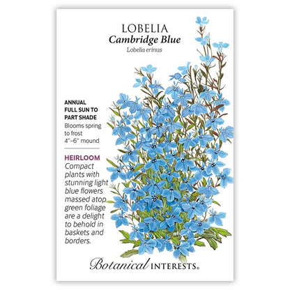 Cambridge Blue Lobelia Seeds Product Image