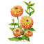 Queeny Lime Orange Zinnia Seeds