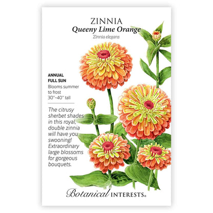 Queeny Lime Orange Zinnia Seeds