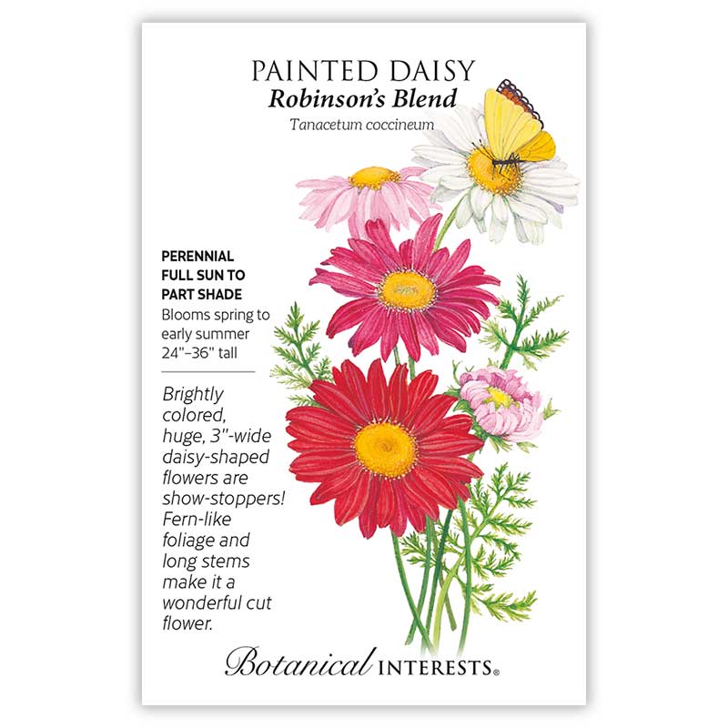 robinsons seeds and plants Robinson's Blend Painted Daisy Seeds