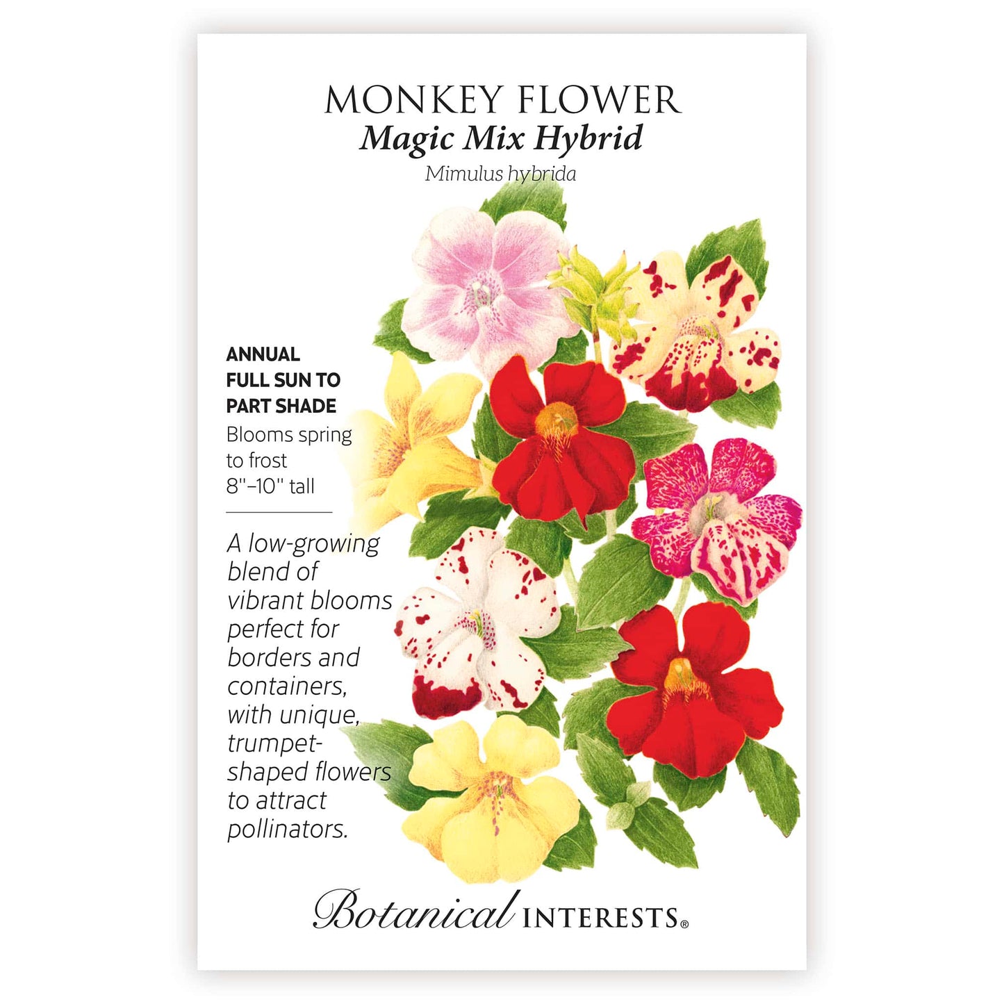 magic plant seeds Magic Mix Monkey Flower Seeds
