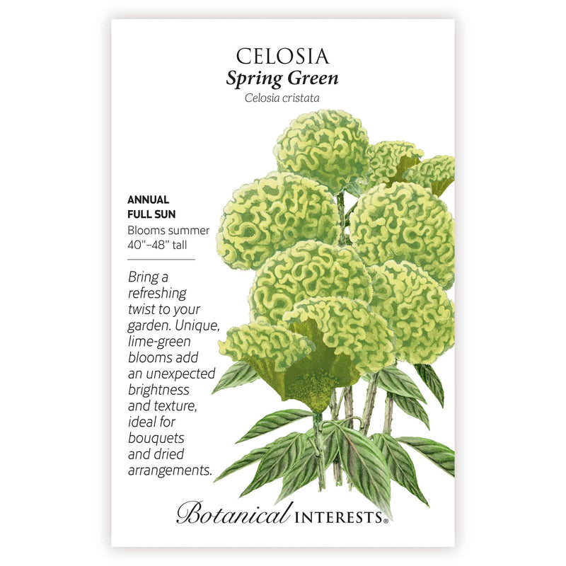 Spring Green Celosia Seeds