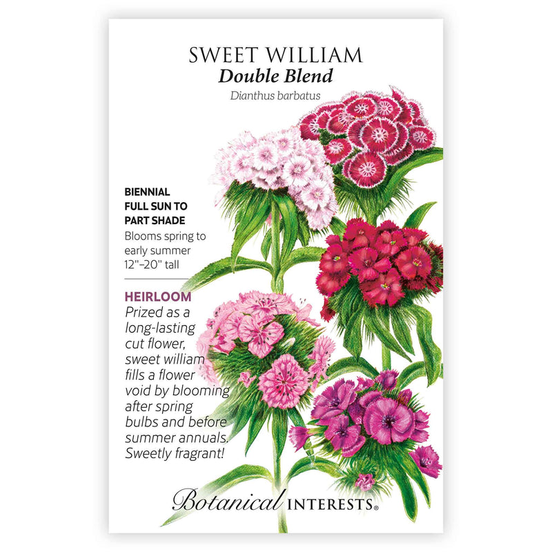 sweet william flower seeds Double Blend Sweet William Seeds