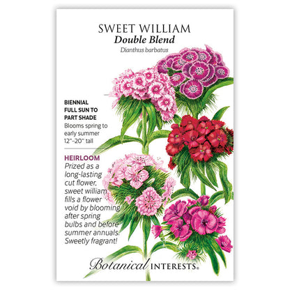 Double Blend Sweet William Seeds Product Image