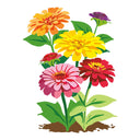 Dahlia Flowered Mix Zinnia