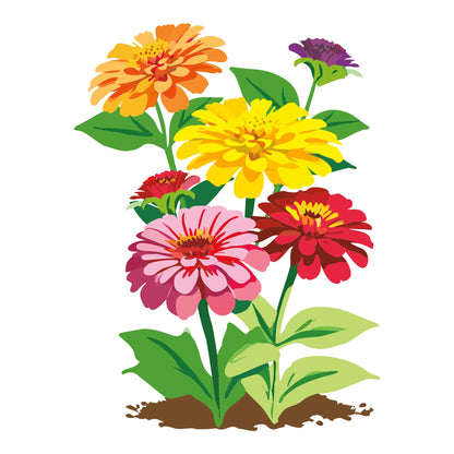 Dahlia Flowered Mix Zinnia
