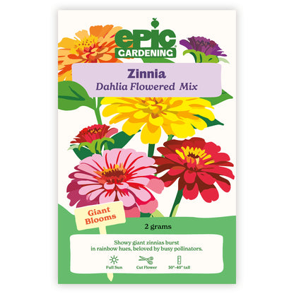 Dahlia Flowered Mix Zinnia