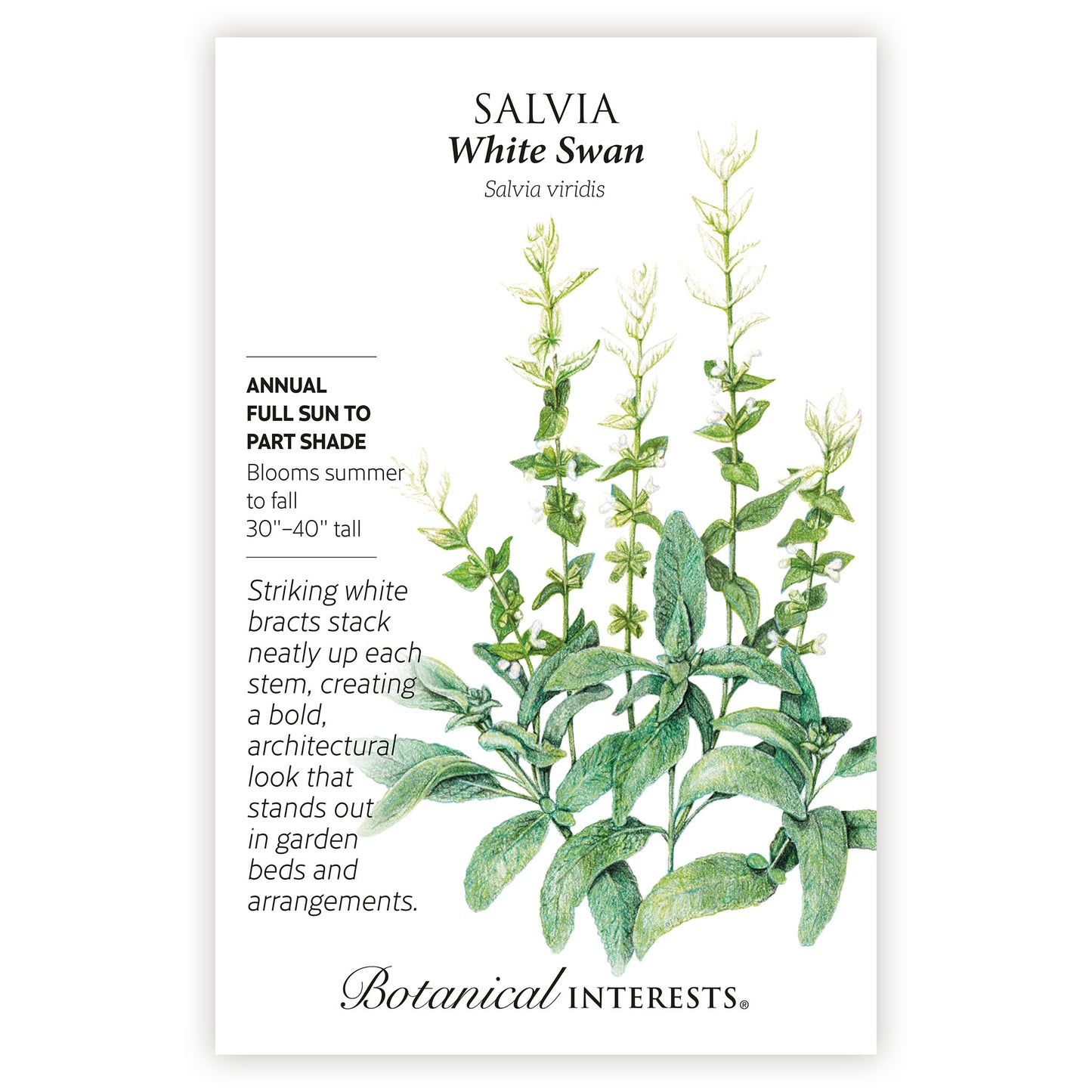 2026 New Varieties Seed Bundle