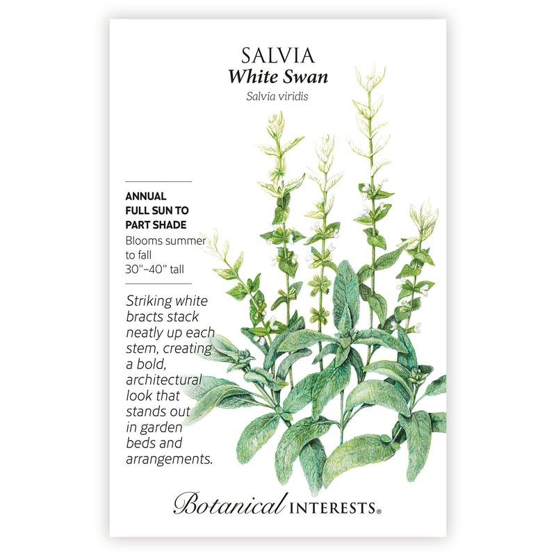 2026 New Varieties Seed Bundle