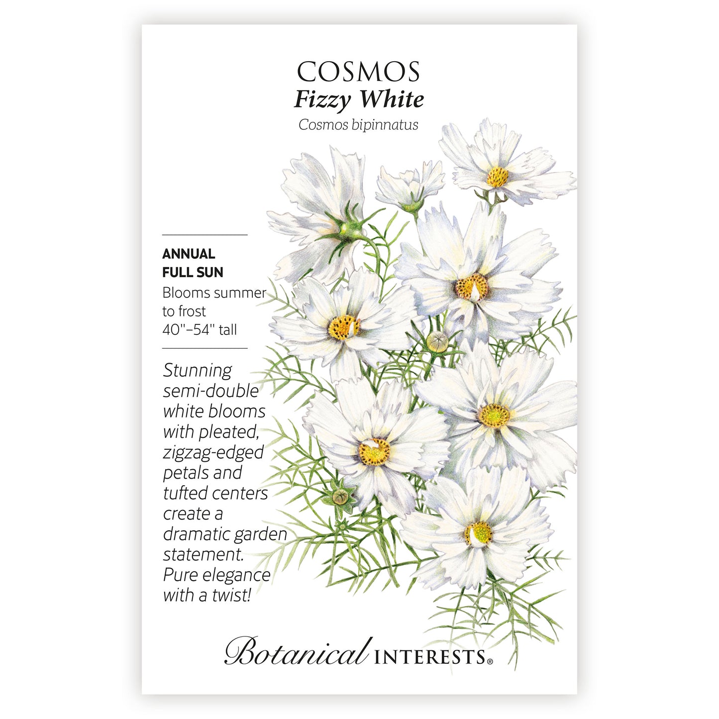 2026 New Varieties Seed Bundle