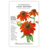 Artisan Red Ombre Echinacea Seeds