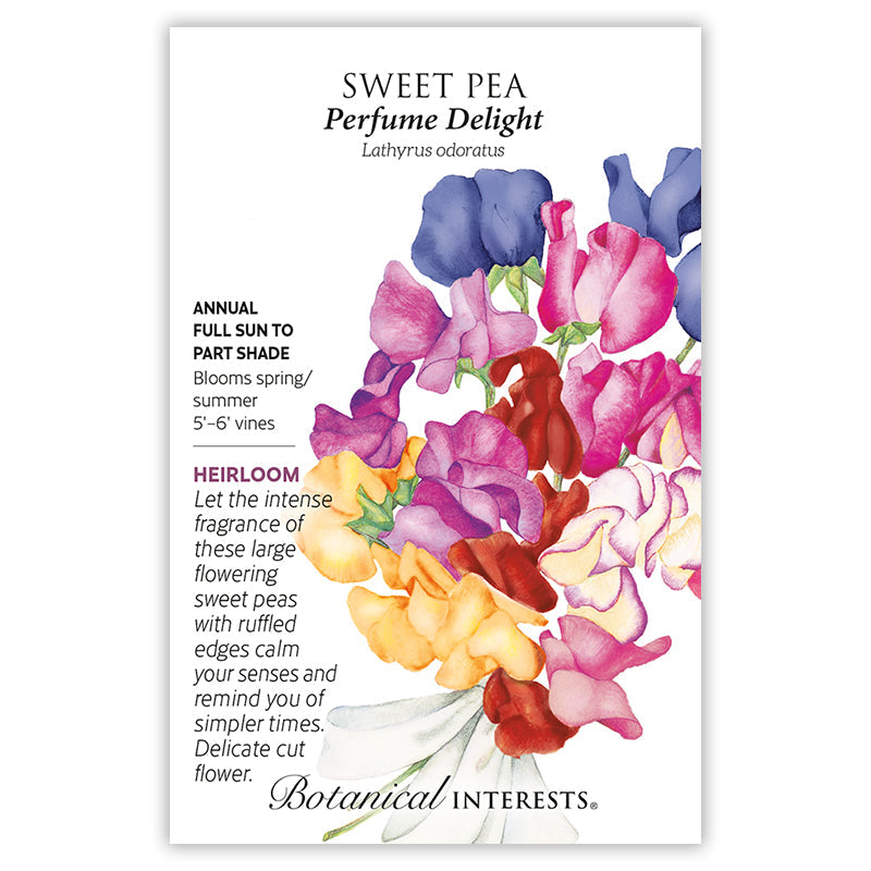 Perfume Delight Sweet Pea Seeds Product Image