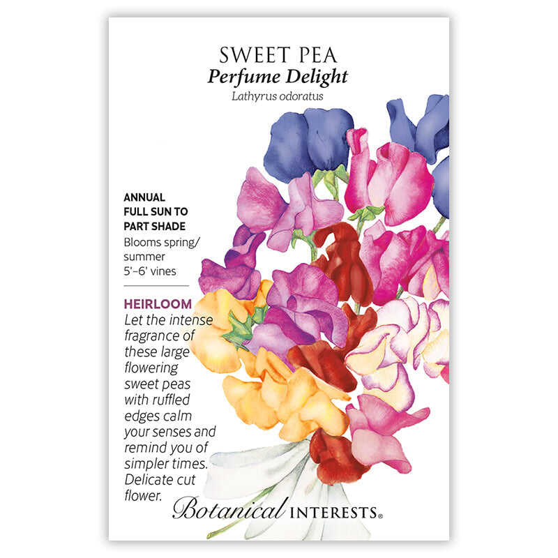 Perfume Delight Sweet Pea Seeds