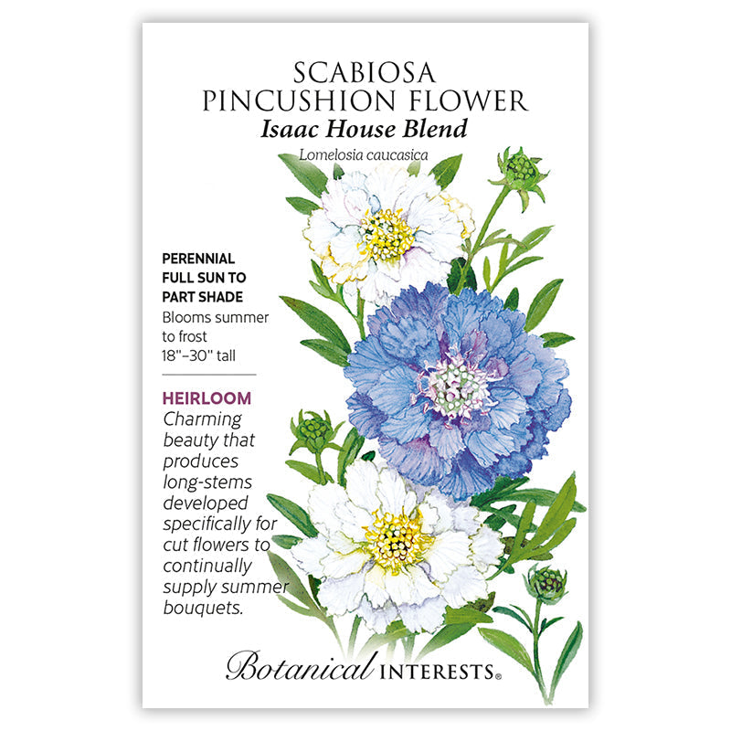 Isaac House Blend Scabiosa Pincushion Flower Seeds