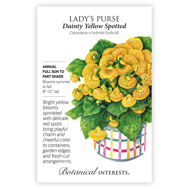 Dainty Yellow Spotted Lady's Purse Seeds