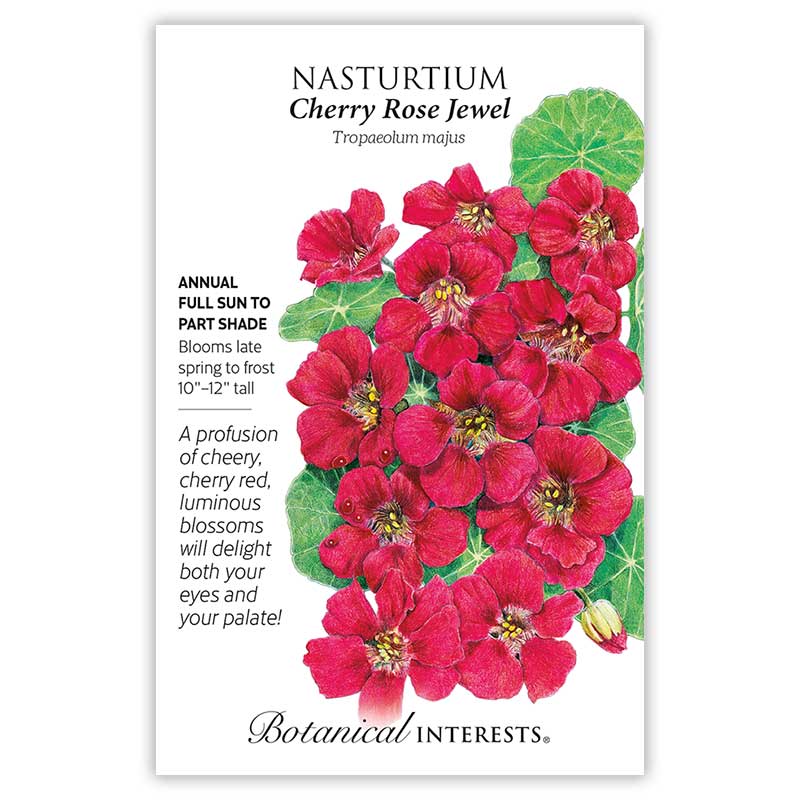 Cherry Rose Jewel Nasturtium Seeds