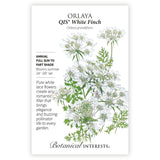 QIS® White Finch Orlaya Seeds