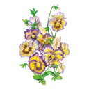 Frizzle Sizzle Lemonberry Pansy Seeds