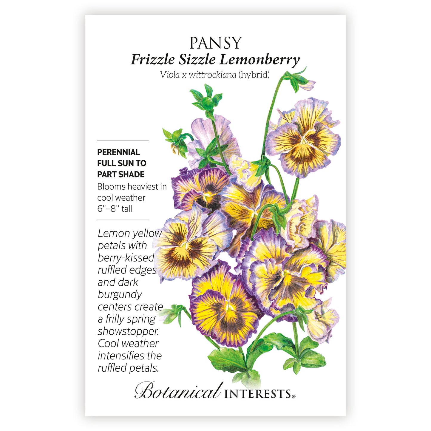 Frizzle Sizzle Lemonberry Pansy Seeds