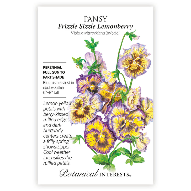 Frizzle Sizzle Lemonberry Pansy Seeds