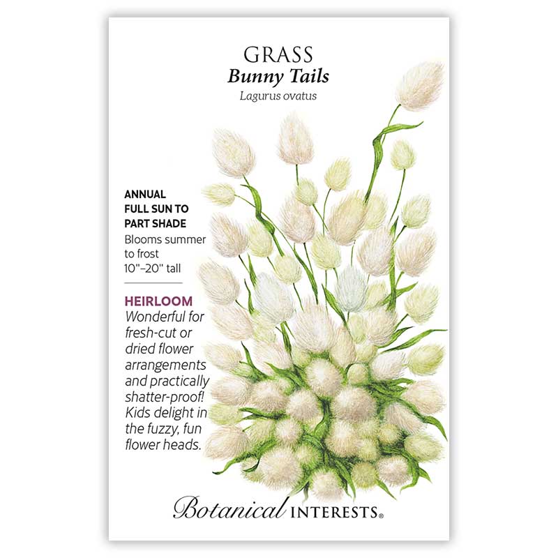 Bunny Tails Grass Seeds Product Image